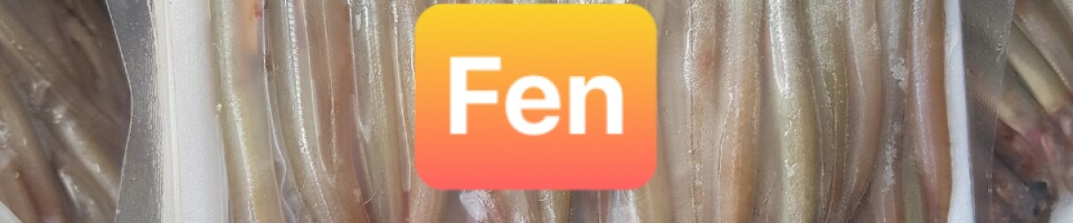 CÁ SỦNG SỈN