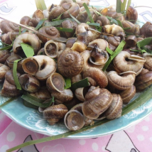 ỐC NÚI